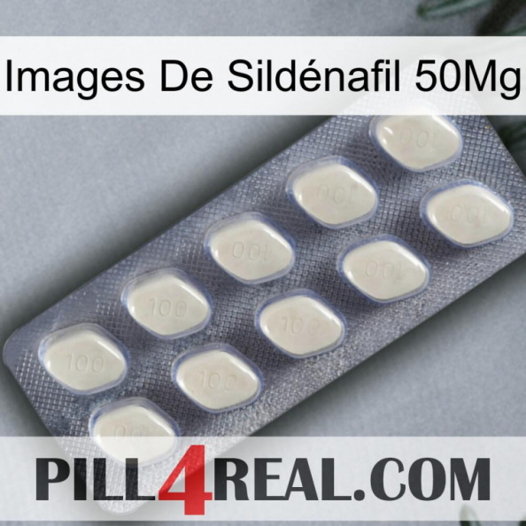 Images De Sildénafil 50Mg 08